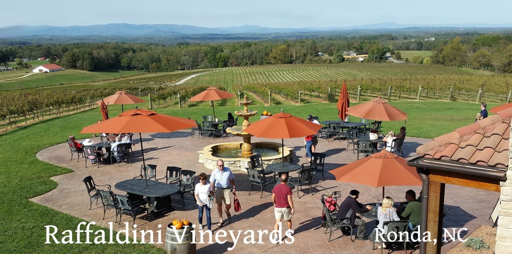 Raffaldini Vineyards in Ronda, NC