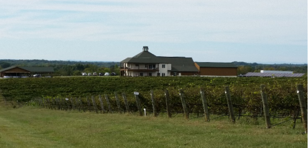 RayLen Vineyards & Winery