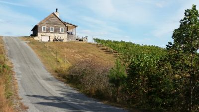 Dobbins Creek Vineyards