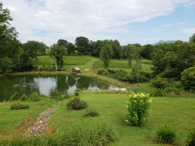 countryside view