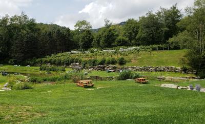 picnic tables