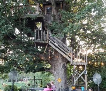 Treehouse Vineyards