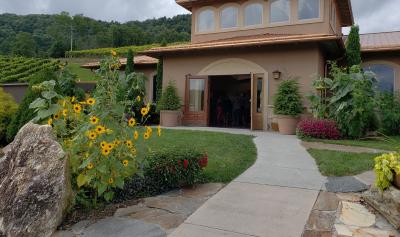 Linville Falls Winery